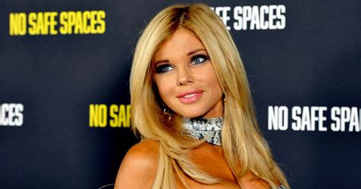 Donna D Errico Net Worth