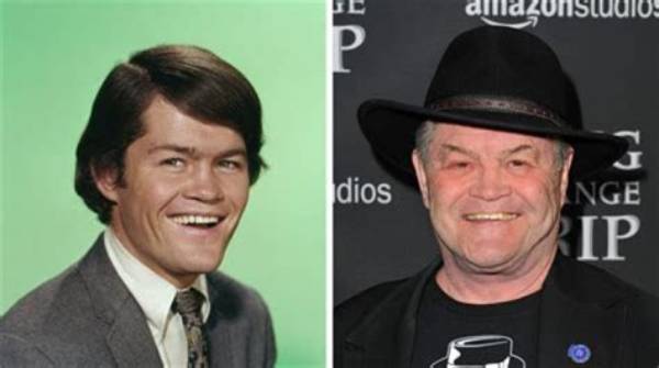 Donna Quinter and Micky Dolenz Ethnicity Explained, Where Are They from?