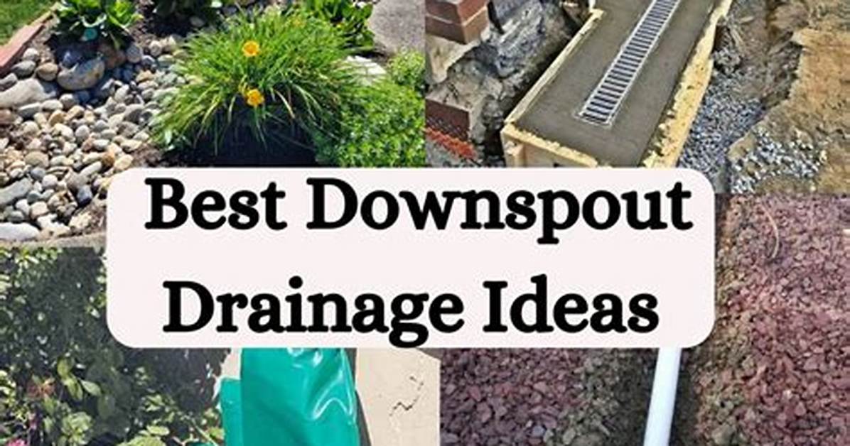 Downspout Drainage Options
