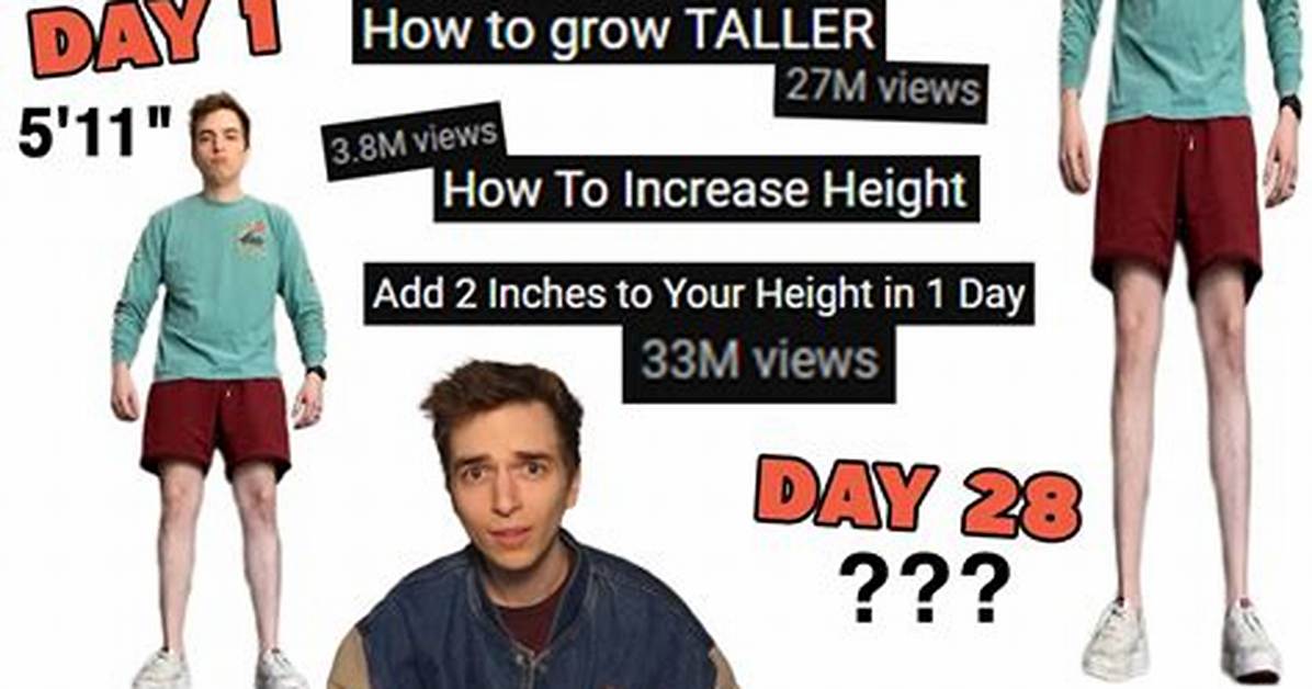 Drew Gooden Height Youtube