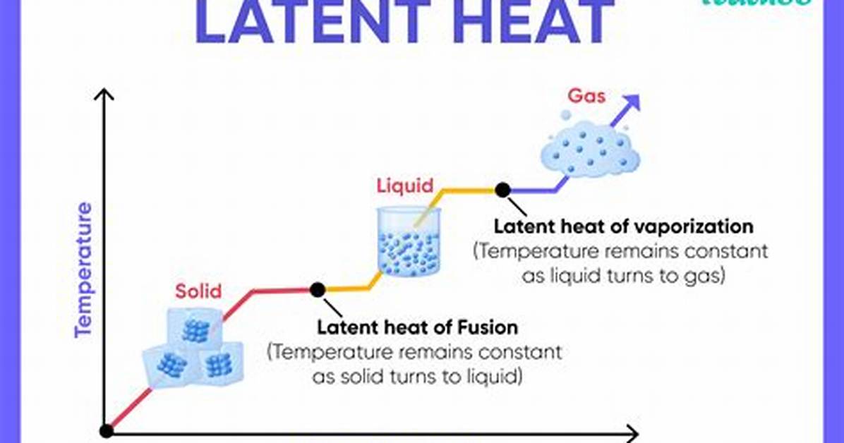 During Latent Heat of Evaporation?