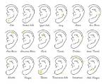 Ear Piercings and Their Names: a Comprehensive Guide to Modern Ear Piercing Styles