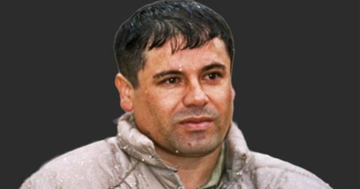 El Chapo Net