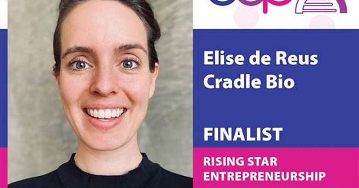 Elise Grave: the Rising Star in the Fashion Industry
