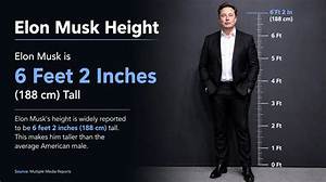 Elon Musk Height: Feet and Inches Unveiled