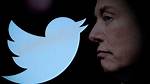 Elon Musk Lizard: the Truth Behind the Conspiracy Theories
