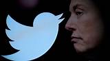 Elon Musk Lizard: the Truth Behind the Conspiracy Theories