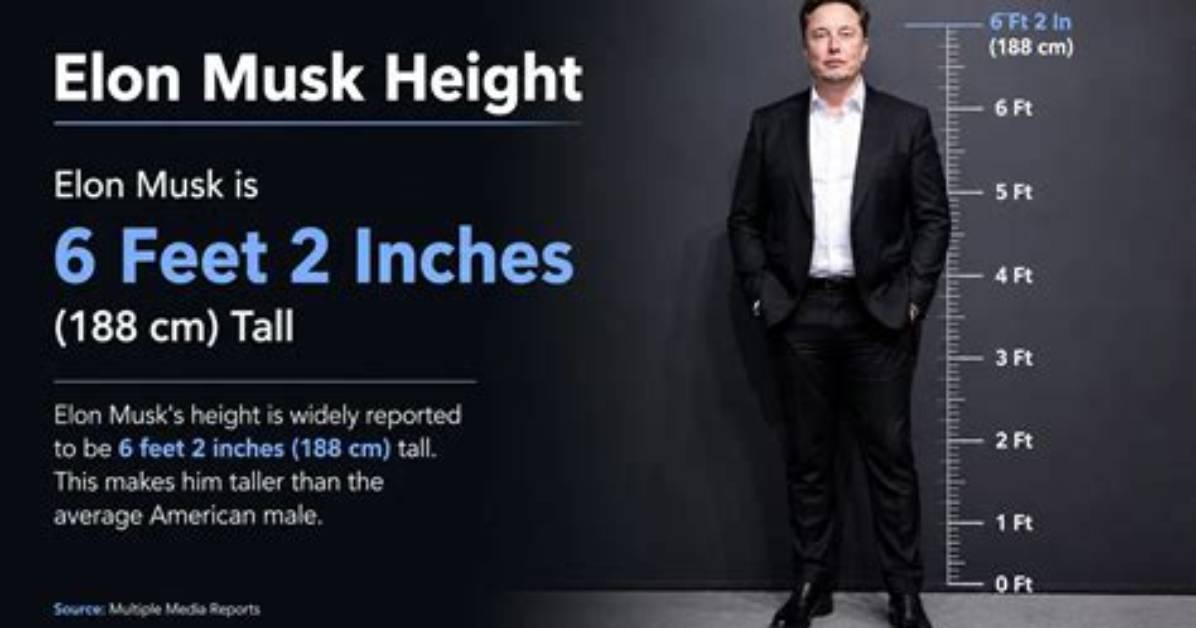 Elon Musk's Height in Feet: a Comprehensive Guide