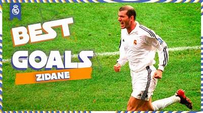 Elyaz Zidane Net Worth