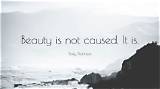 Emily Dickinson: 'Beauty Is Not Caused. It Is.'