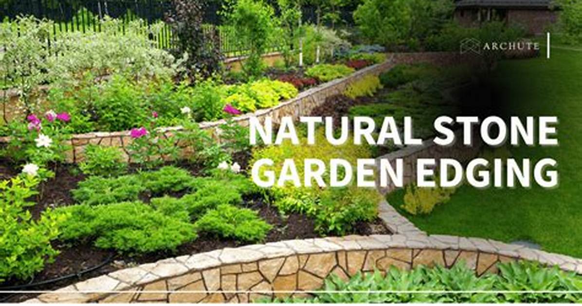 Enhance Your Garden with Asbury S Premium