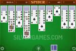 Enjoy Exclusive Spider Solitaire in Full Screen Online for Free