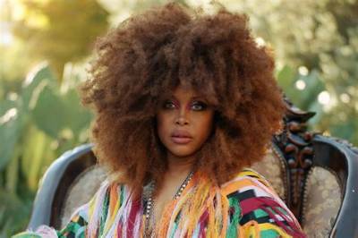 Erykah Badu: 'When You're in a Relationship You Want It to Work. My Parents Did, I Did. but We Are Not Taught How to Make It Work.'