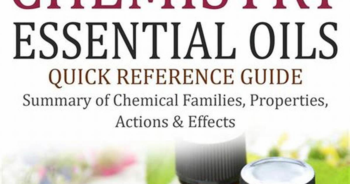 Essential Guide To