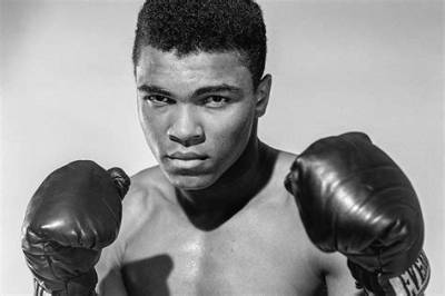 Everything You Need to Know About Boxeador Colon: a Comprehensive Guide