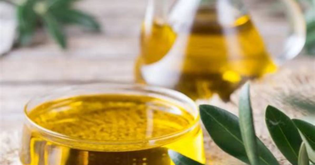 Evooli Premium Olive Oil: the Secret to a Healthier Lifestyle