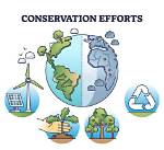 Explain How Conservation Efforts Have Positively Impacted Ecosystems.