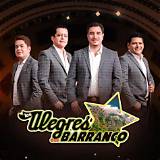 Exploring "Los Alegres Del Barranco El Del Palenque Lyrics" – a Journey Through Mexican Regional Music
