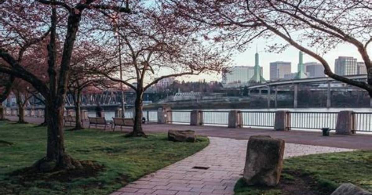 Exploring the Dynamic Influence of the Portland Group