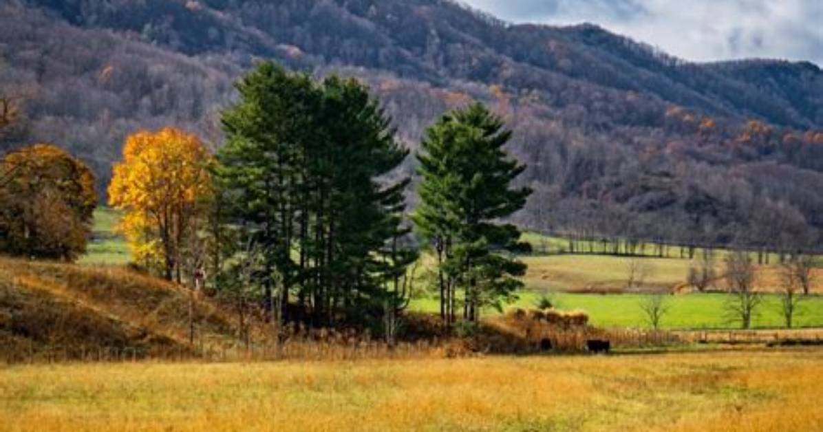 Exploring the Educational Landscape of Tazewell County Public Schools in Tazewell, Va
