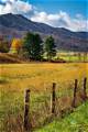 Exploring the Educational Landscape of Tazewell County Public Schools in Tazewell, Va