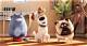 Exploring the Endearing World of Relationship Pet Names
