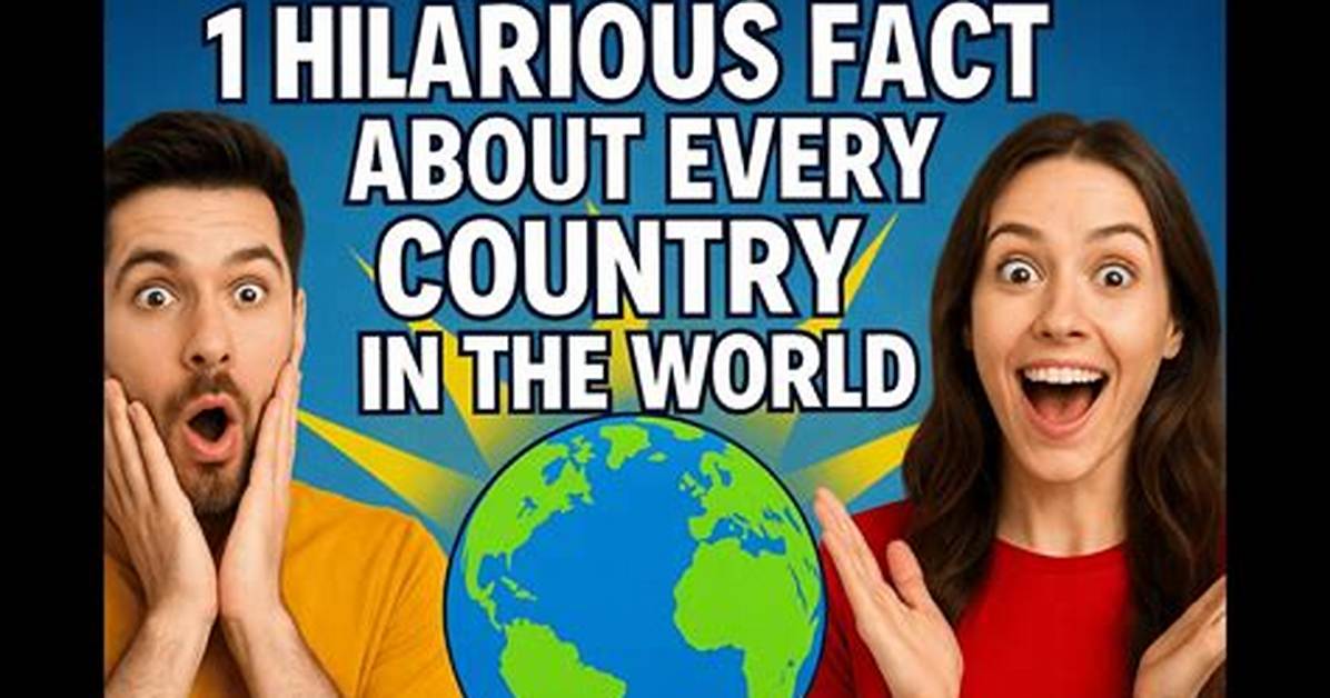 Exploring the Hilarious World of the Every Light in the House Is On