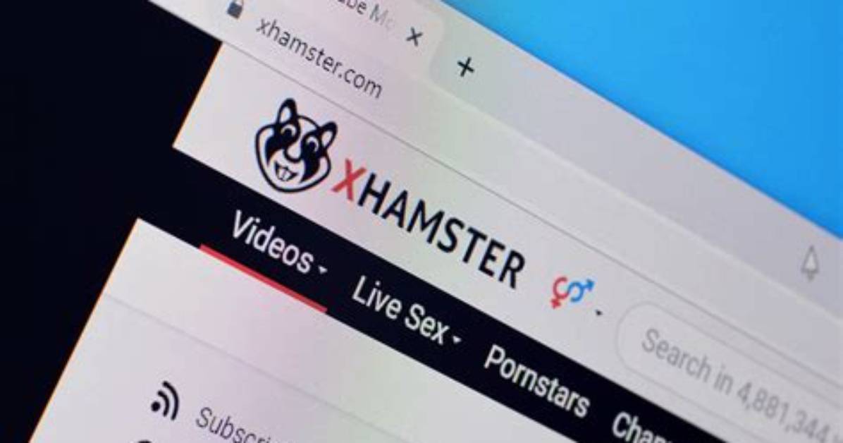 Exploring the Intersection of xHamster and Youtube: a Comprehensive Analysis