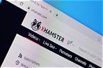 Exploring the Intersection of xHamster and Youtube: a Comprehensive Analysis