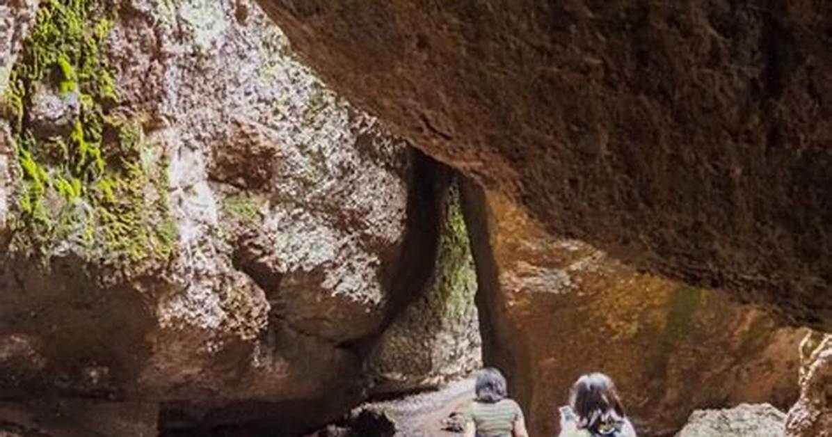 Exploring the Mysteries of Bear Cave Park: Is There a Cave at Bear Cave Park Rochester Mn?