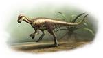 Exploring the Mystery of Left Side Dinosaur Hands Sleeping