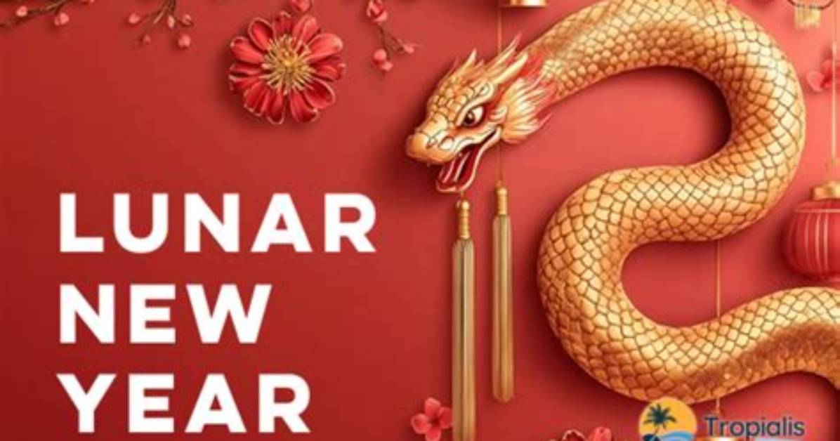 Exploring the Significance of Chinese Lunar New Year 1991: Traditions, Celebrations, and Insights