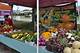 Exploring the Vibrant Richardson Farmers Market
