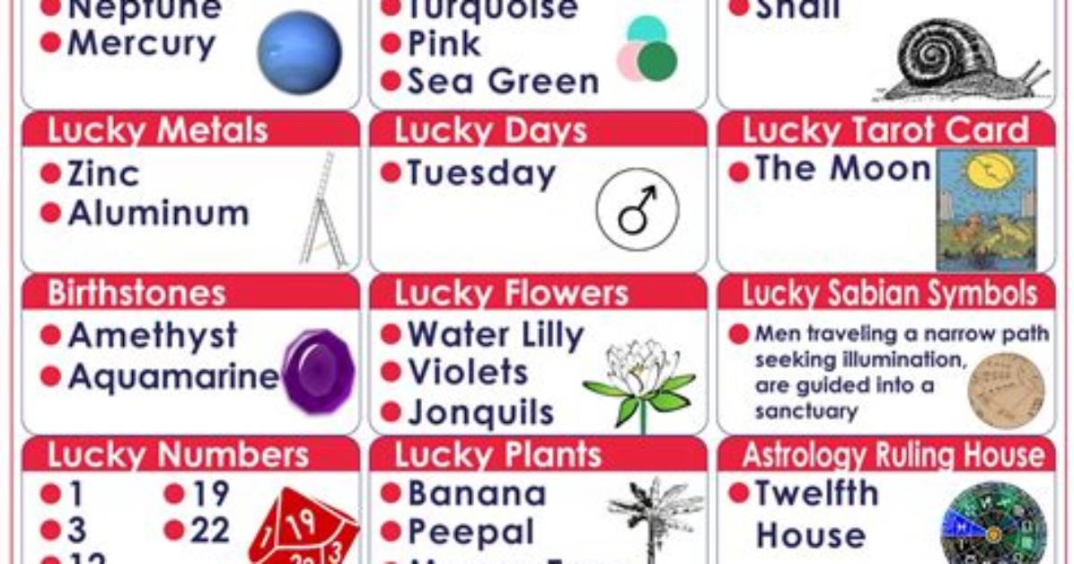 Feb 23 Zodiac Sign: Your Birthday Personality!