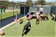 Finding the Best Dog Boarding in Abilene, Tx: a Comprehensive Guide