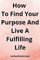 Finding Your Way to a Fulfilling Life in Clearwater
