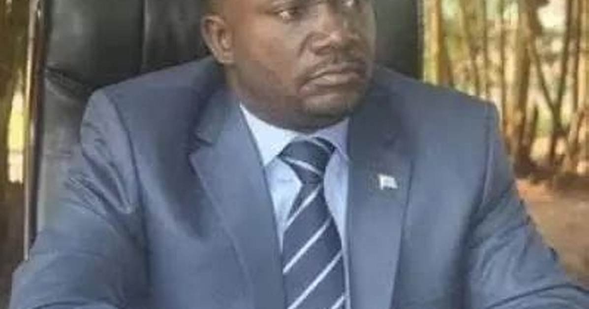 Fiston Ngoy Age Birthday Wikipedia Who