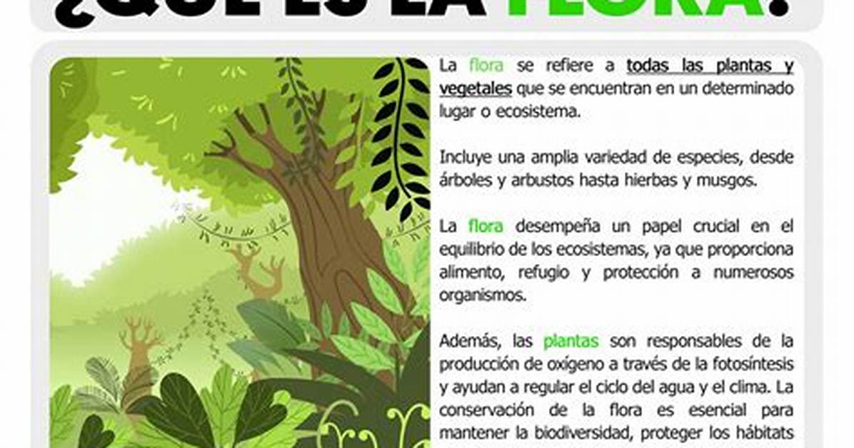 Flora