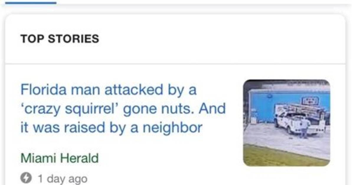 Florida Man November 24: Unraveling the Day's Most Shocking Stories