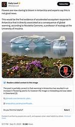 Flowers Are Blooming in Antarctica Meme: a Fascinating Look at Its Origins, Meaning, and Popularity