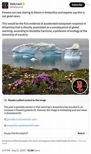 Flowers Are Blooming in Antarctica Meme: a Fascinating Look at Its Origins, Meaning, and Popularity