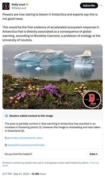 Flowers Are Blooming in Antarctica Meme: a Fascinating Look at Its Origins, Meaning, and Popularity