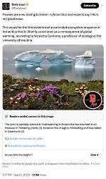 Flowers Blooming in Antarctica Meme: a Viral Phenomenon and Its Fascinating Implications