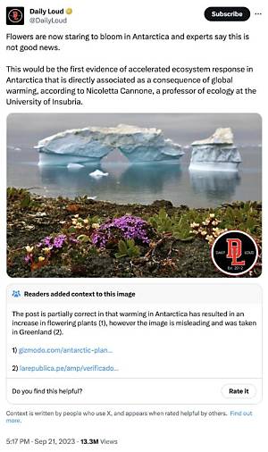 Flowers Blooming in Antarctica Meme: a Viral Phenomenon and Its Fascinating Implications