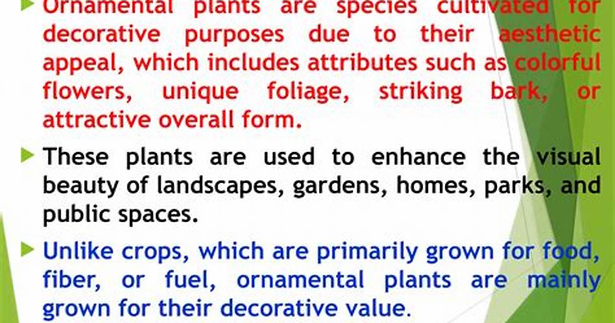 For Ornamental Purposes Meaning?