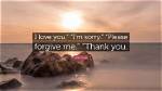 Forgive Me I'm Sorry I Love You Quotes