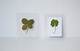 Four Leaf Clover Laminate Design Ideas