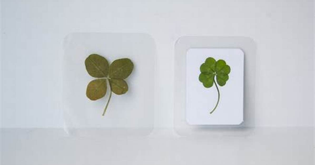 Four Leaf Clover Laminate