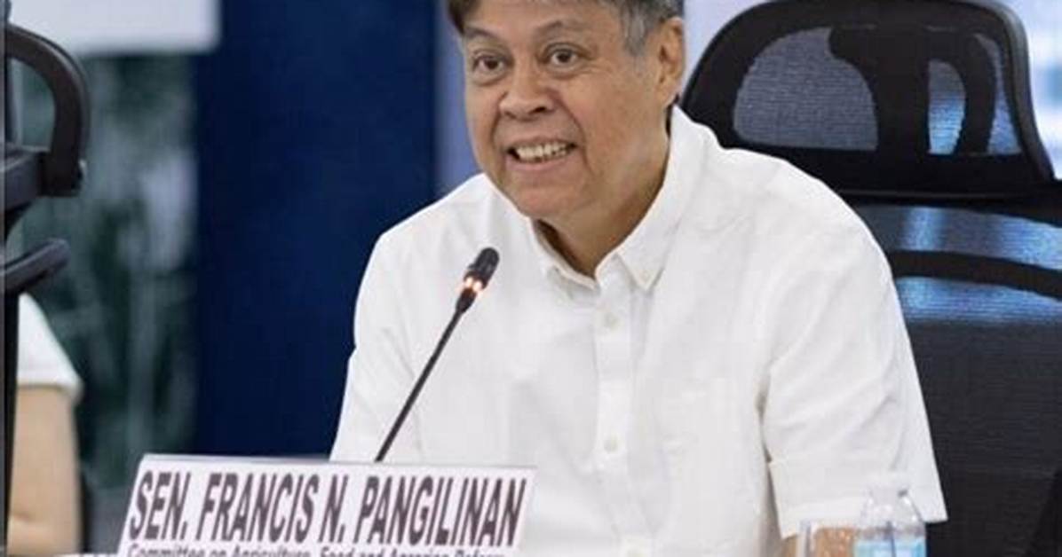 Francis Pangilinan Net