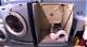 Frigidaire Dryer Not Drying | Homesteady